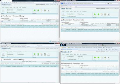 TimeControl Timesheets on Internet Explorer, FireFox, Mozilla and Safari